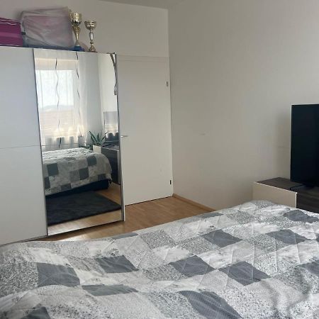 Helle Wohnung In Linzer-Mitte Dış mekan fotoğraf