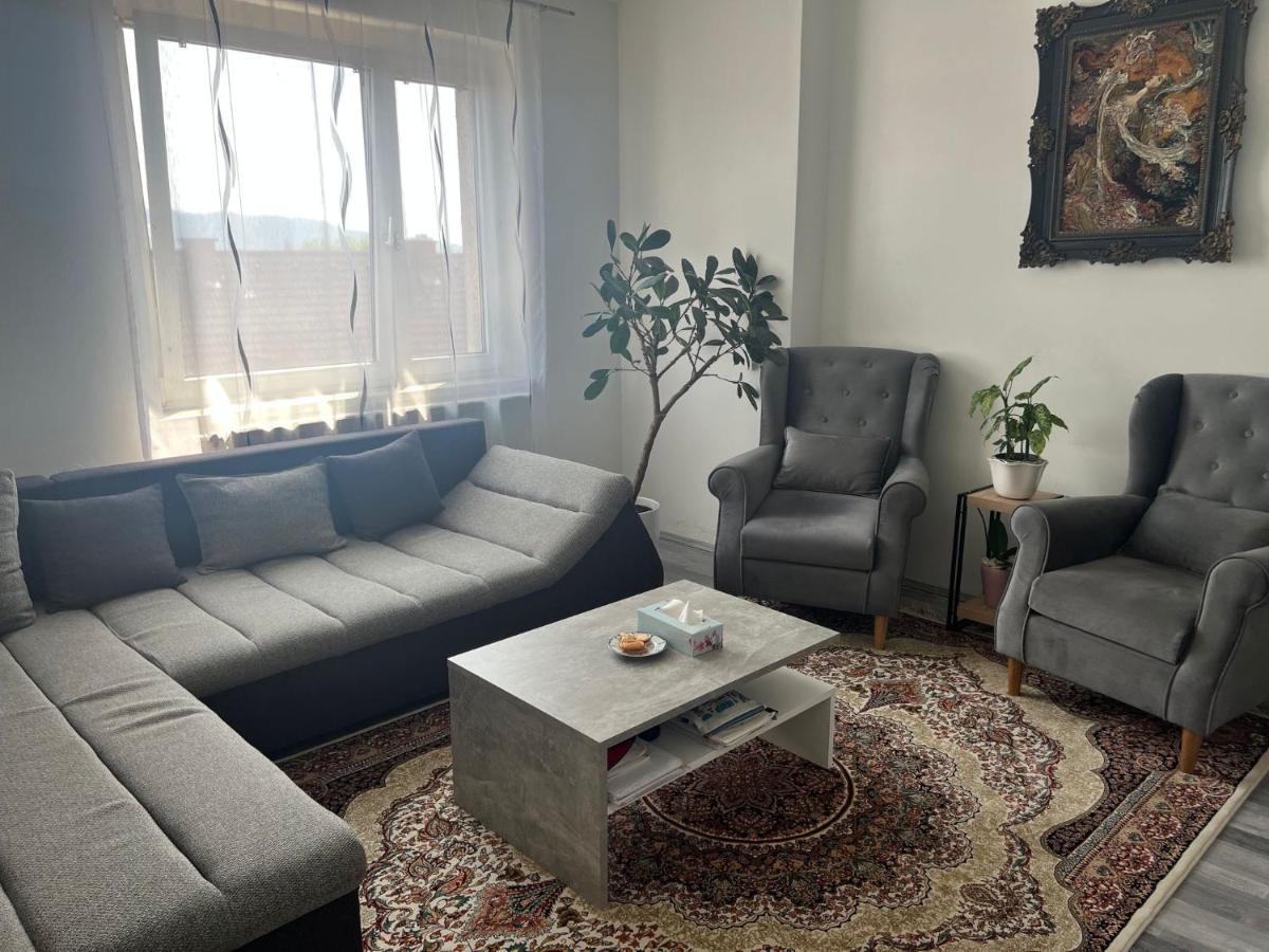 Helle Wohnung In Linzer-Mitte Dış mekan fotoğraf